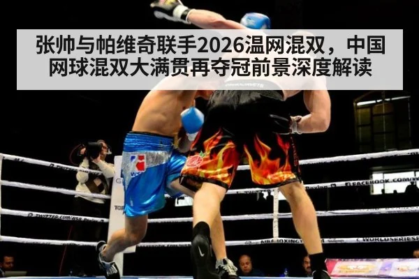 张帅与帕维奇联手2026温网混双，中国网球混双大满贯再夺冠前景深度解读