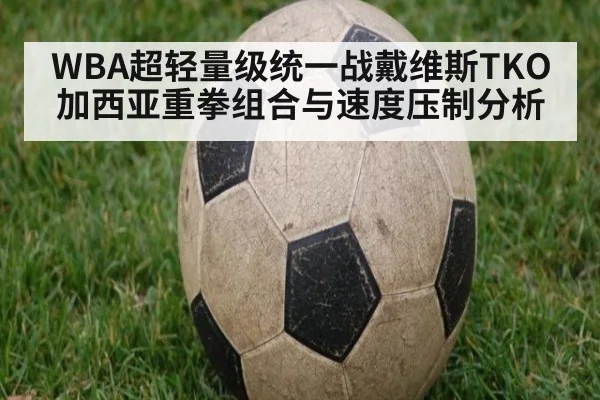 WBA超轻量级统一战戴维斯TKO加西亚重拳组合与速度压制分析