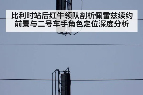 比利时站后红牛领队剖析佩雷兹续约前景与二号车手角色定位深度分析