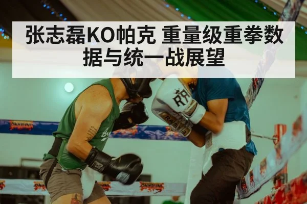 张志磊KO帕克 重量级重拳数据与统一战展望