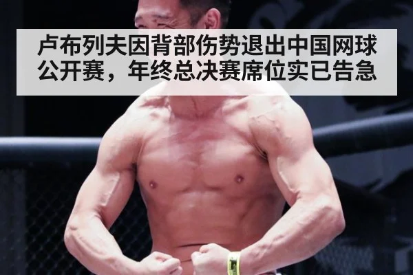 卢布列夫因背部伤势退出中国网球公开赛，年终总决赛席位实已告急