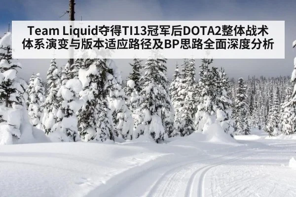 Team Liquid夺得TI13冠军后DOTA2整体战术体系演变与版本适应路径及BP思路全面深度分析